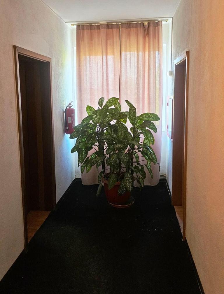 Casablanca Hostel Craiova Exterior photo